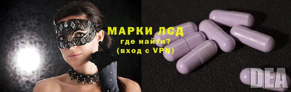 прущий лед Новозыбков