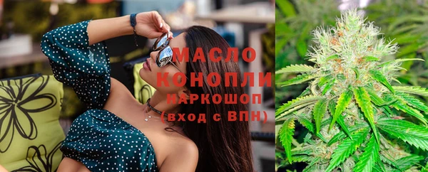 прущий лед Новозыбков