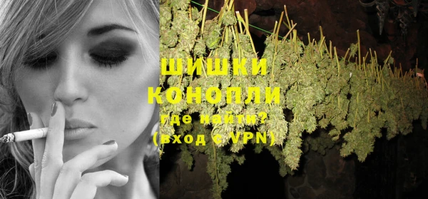 прущий лед Новозыбков