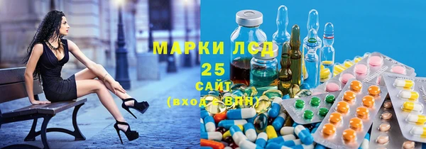 дмт Новодвинск