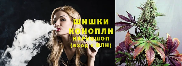 прущий лед Новозыбков