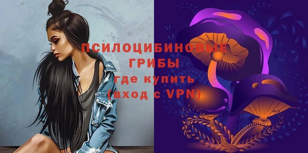 дмт Новодвинск